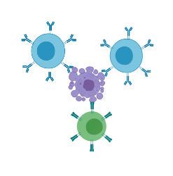Chimeric Antigen Receptor T cells (CAR T-cells)